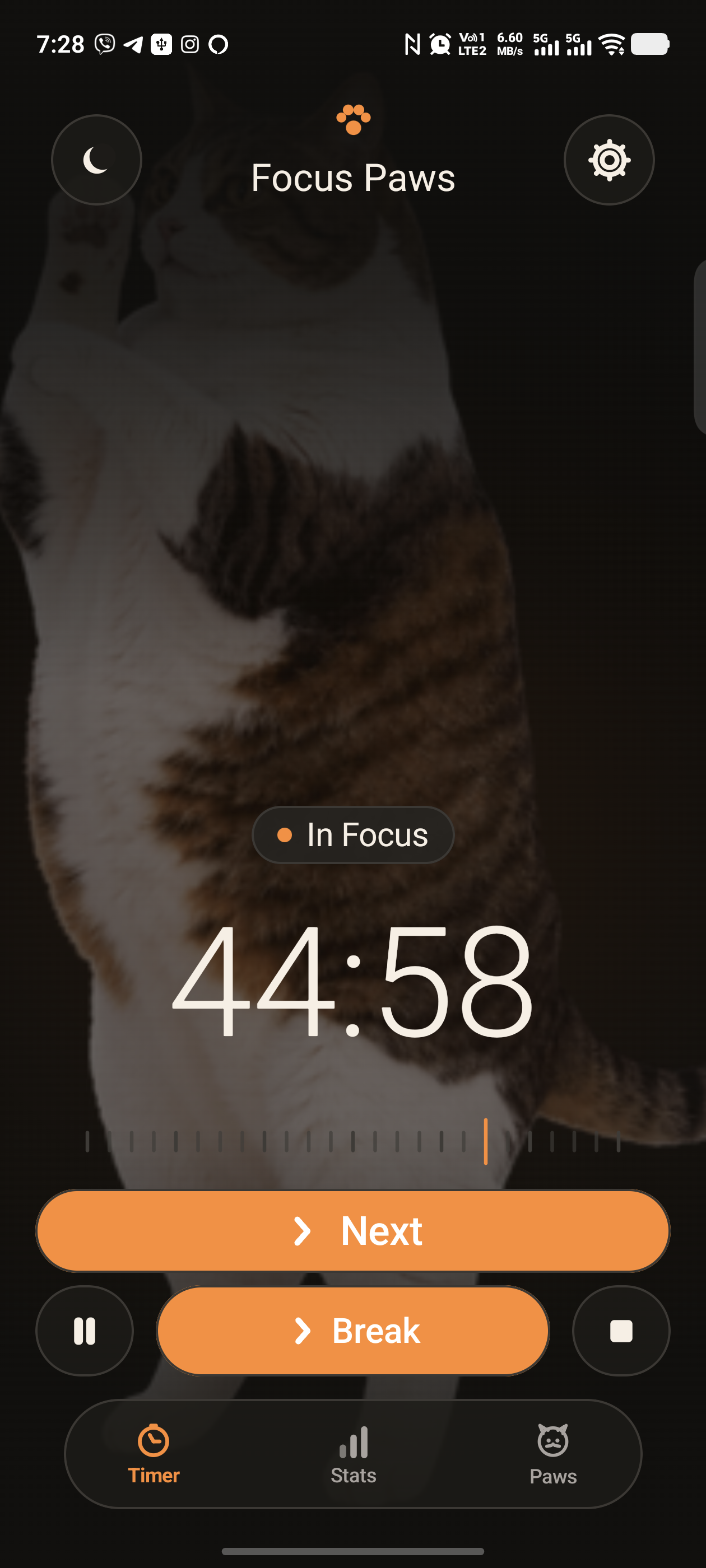 Full-height companion view