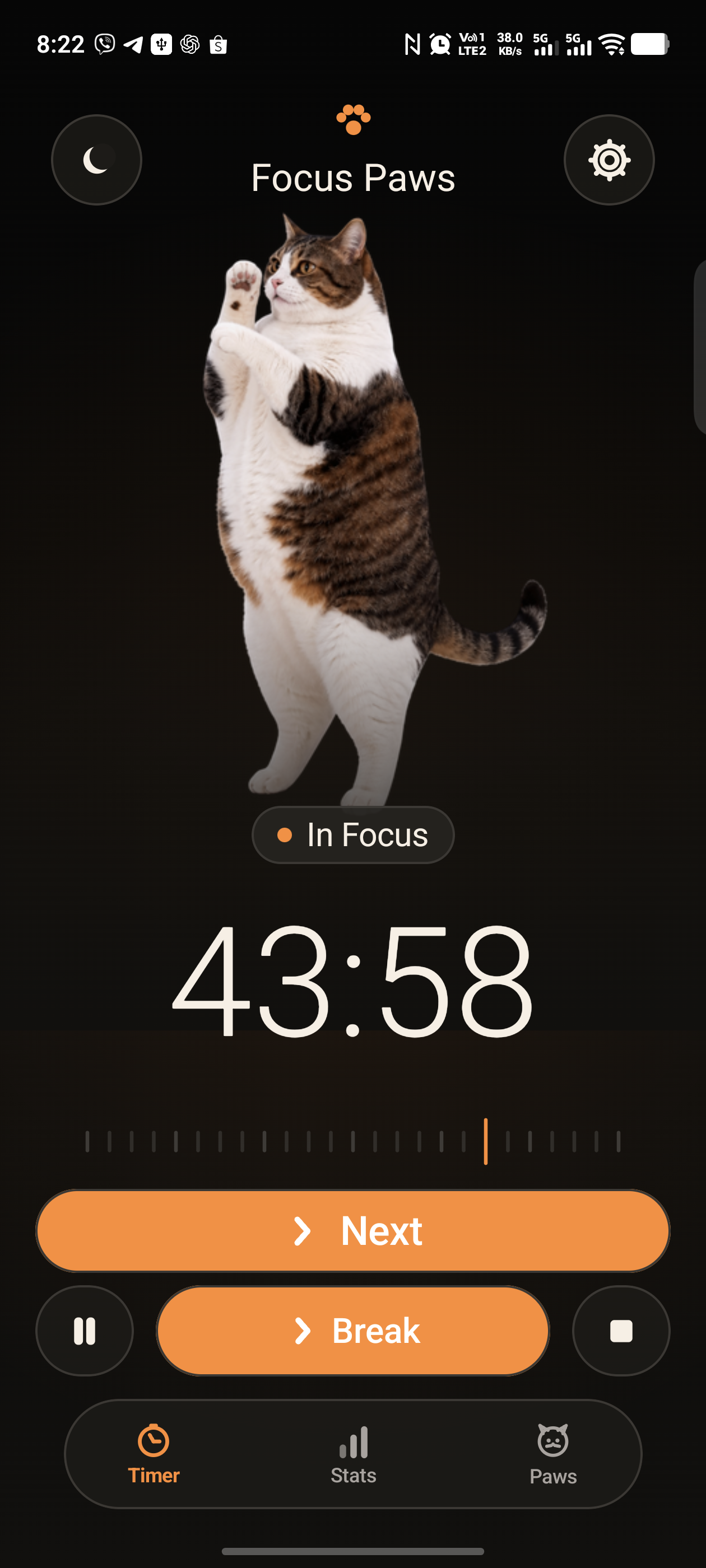 PetPause running with a floating cat companion overlay